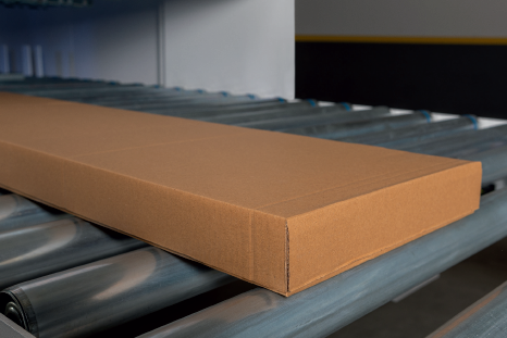 313109417_1705949453135499_1931123405042767150_n